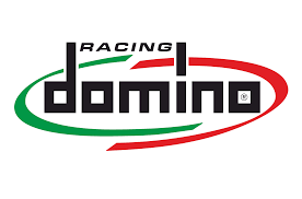 DOMINO